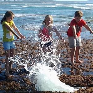 Meet your Posher, Eva